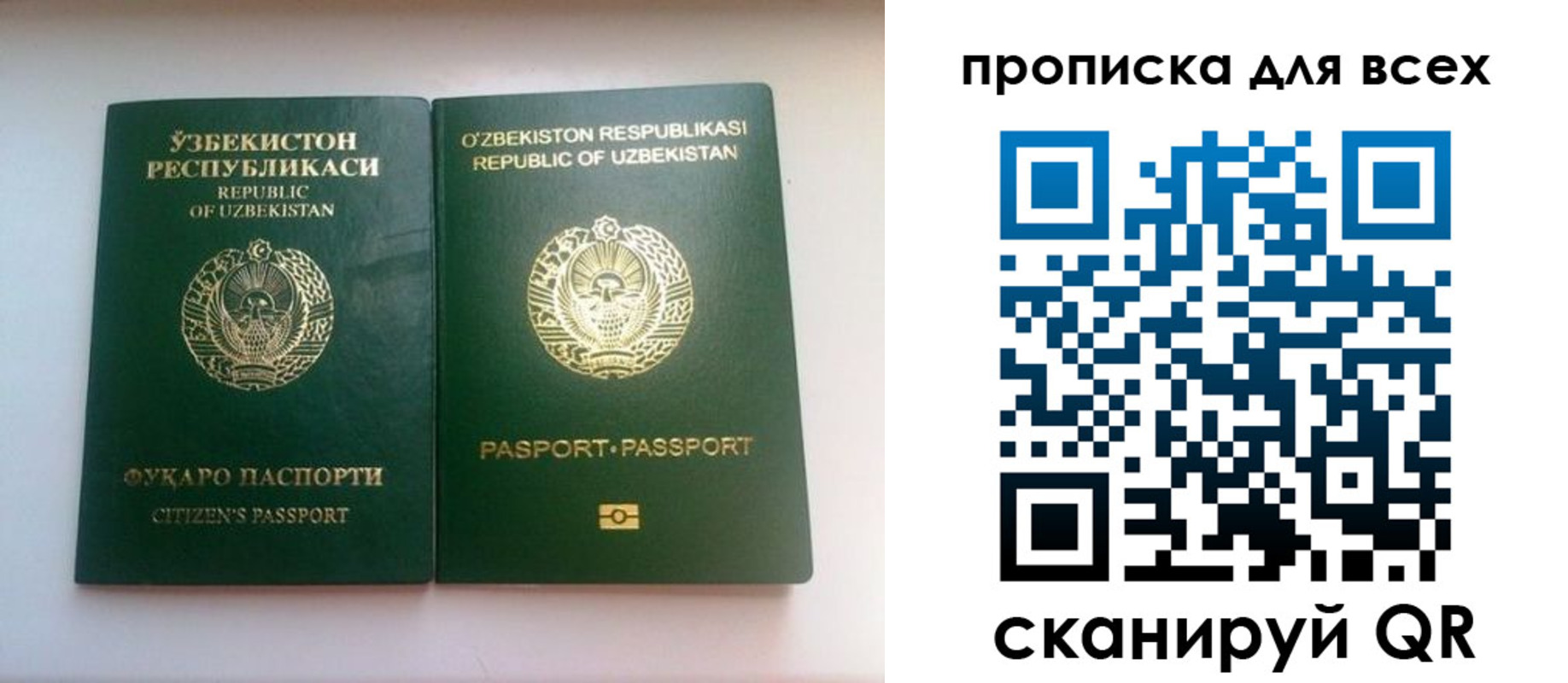 прописка для школы в Ряжске